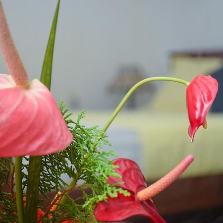 Senu Homestay Sigirija Zewnętrze zdjęcie