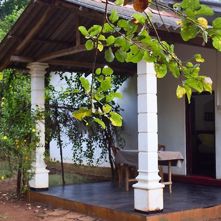 Senu Homestay Sigirija Zewnętrze zdjęcie