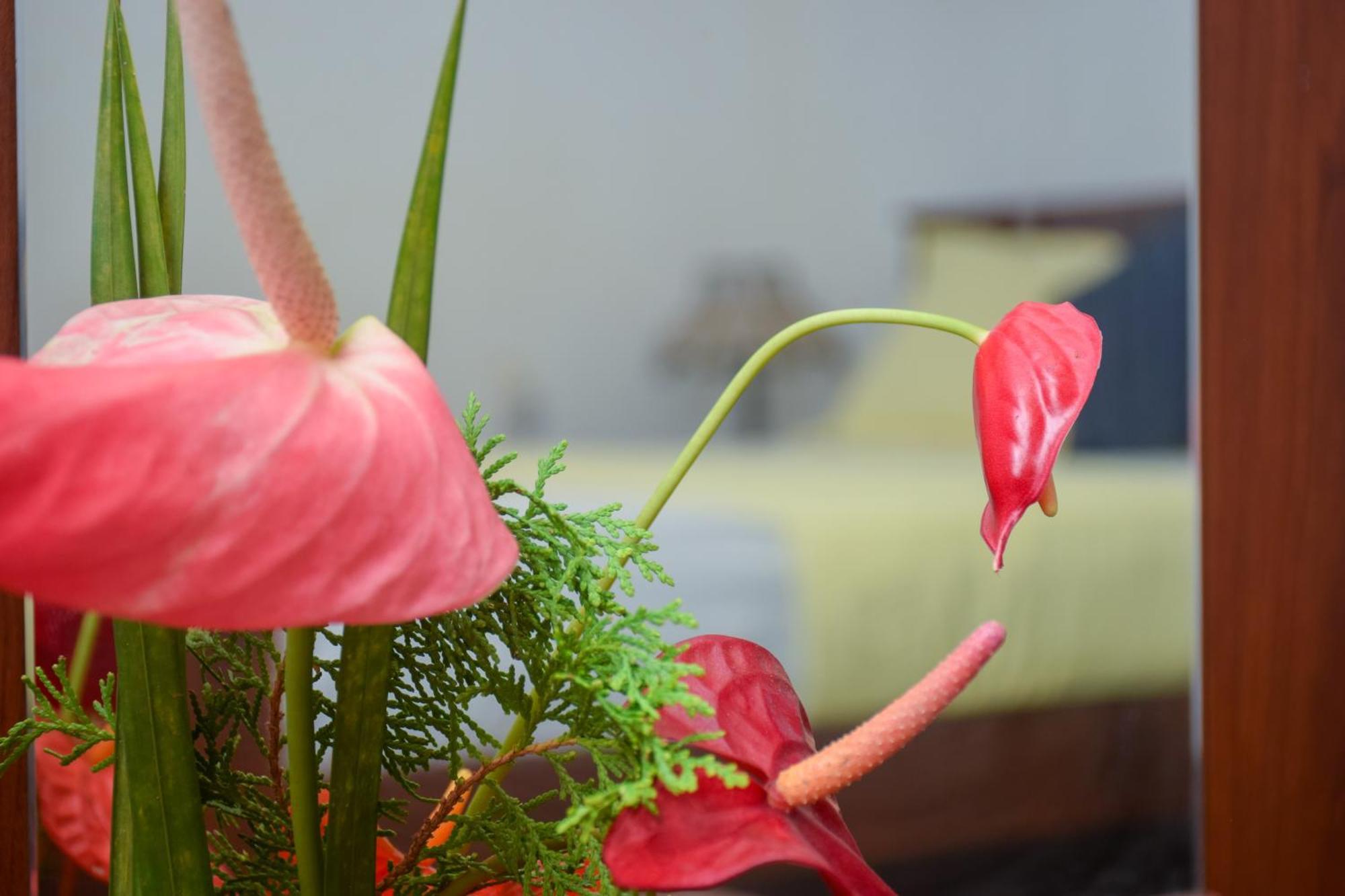 Senu Homestay Sigirija Zewnętrze zdjęcie
