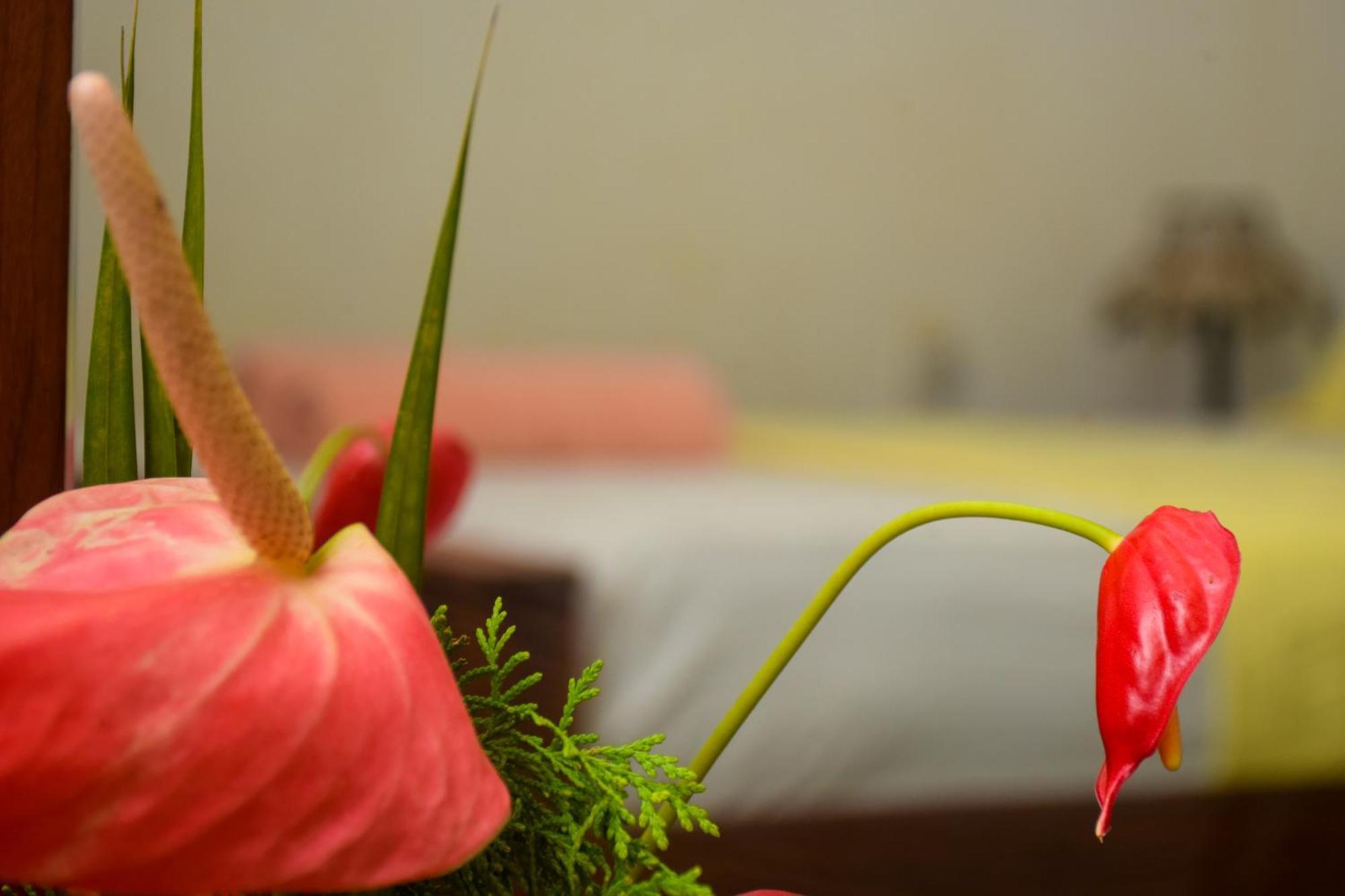 Senu Homestay Sigirija Zewnętrze zdjęcie