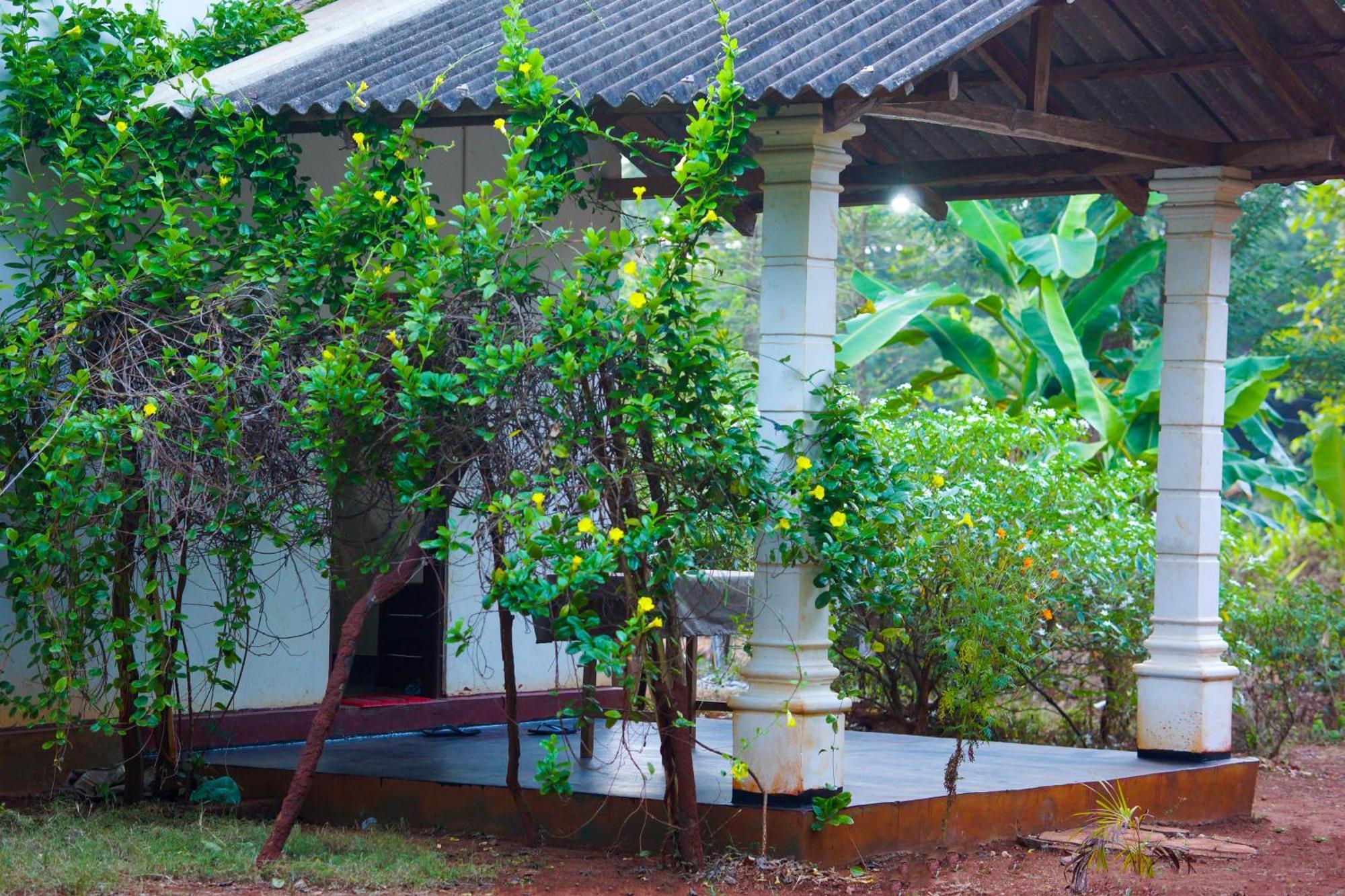 Senu Homestay Sigirija Zewnętrze zdjęcie